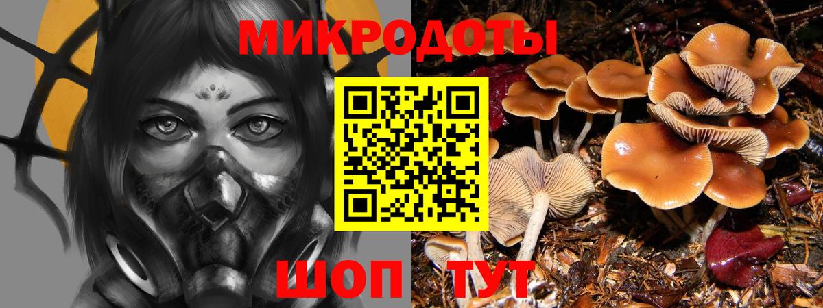 Псилоцибиновые грибы MAGIC MUSHROOMS Абакан